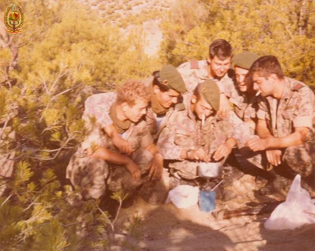 Maniobras y Guerrillas035.jpg